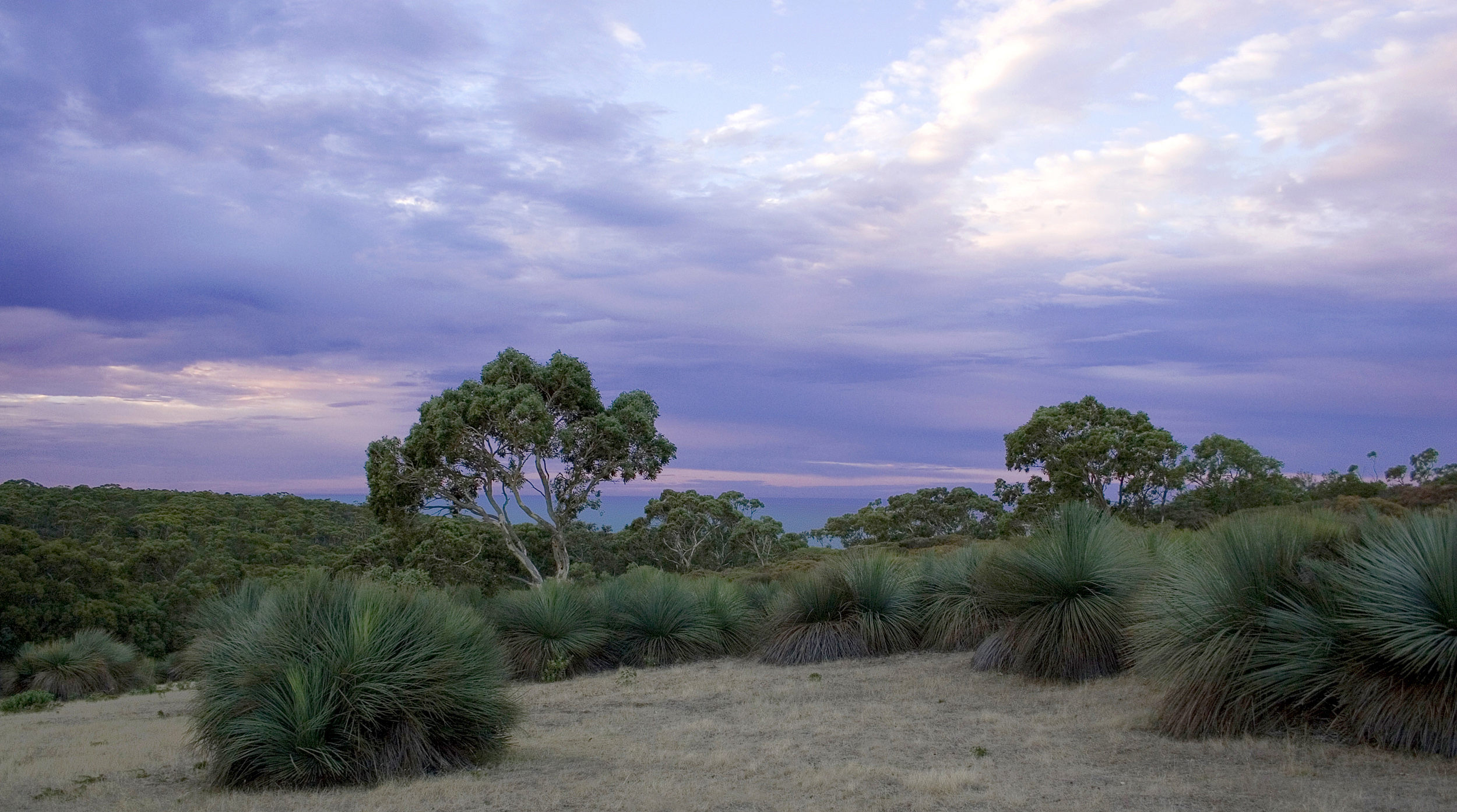 Australia thumbnail