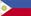 Flag Of Philippines Copy