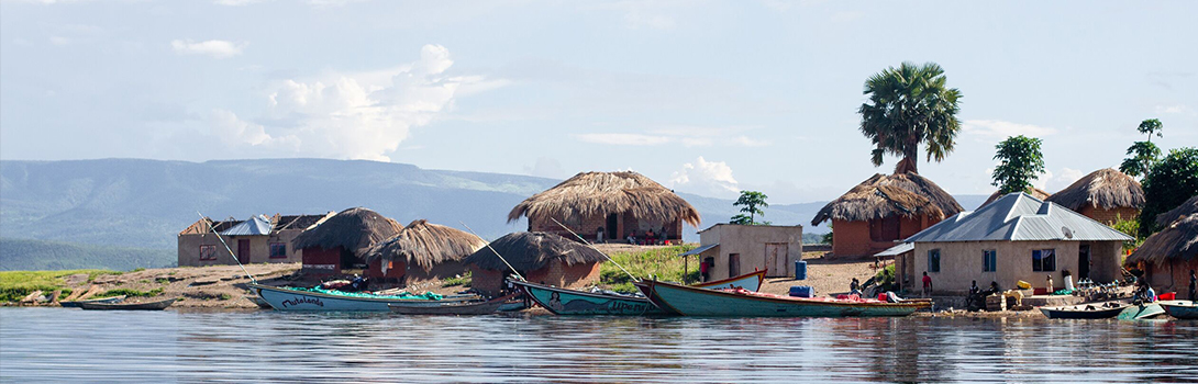 Crocodile Island 