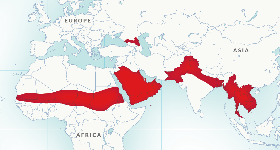 OM’s Five Focus Regions