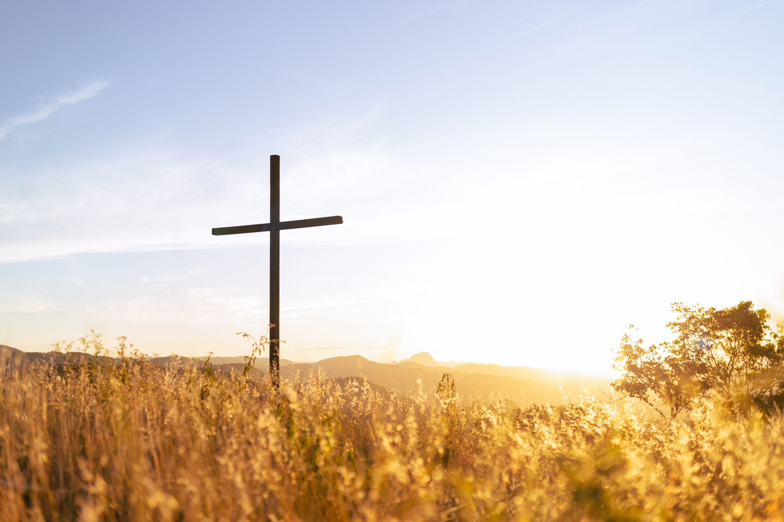 Beyond OM: A Look at Christian Mission Organizations and How to Get Involved thumbnail