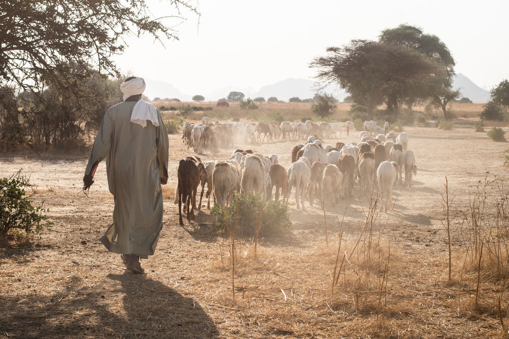 Salvation in the Sahel thumbnail
