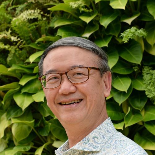 Wei Leong Goh